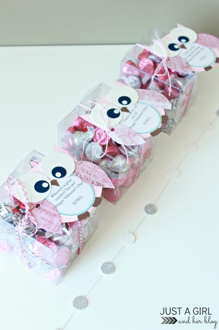 Owl Valentine Teacher Gifts by Just a Girl and Her Blog