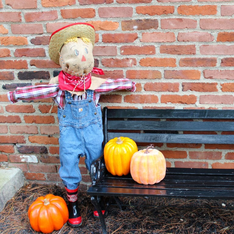 Cute Scarecrow Next to a DIY Bench with Pumpkins