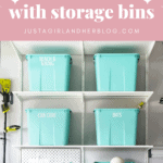 How to Organize Every Room with Storage Bins