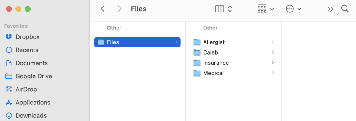 File Folders on a Computer