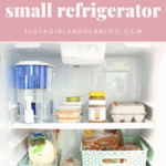 The Best Way to Organize a Small Refrigerator